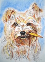 /album/zvieratka-suchy-pastel/obraz-667-jpg/